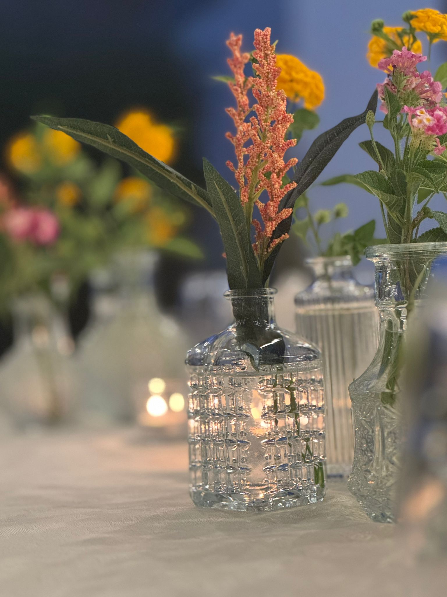 Sitica Gallery Image 17