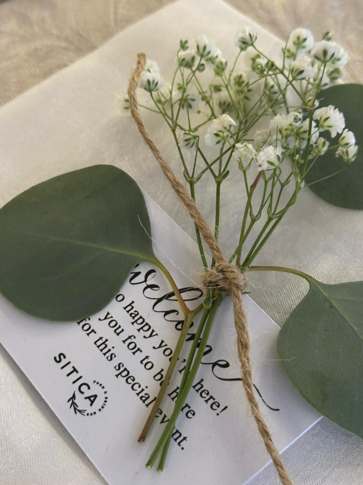 Sitica Gallery Image 37